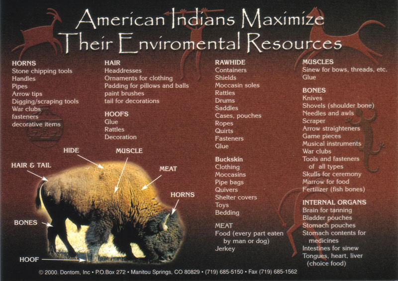 DonTom, Inc. American Indians Maximize Their Environmental Resources